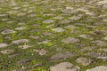 Weathered cobbles Royalty Free Stock Photo