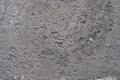 Weathered concrete wall Royalty Free Stock Photo