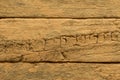 Weathered demolition wood section texture detail Royalty Free Stock Photo