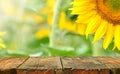 Weathered empty wooden table in front on a sunflower background. Table in perspective view with copy space