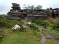 Sandstone rock formations at Brimham rocks Royalty Free Stock Photo