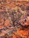 Worn and Eroded Red Rocks, Kings Canyon, Red Centre, Australia Royalty Free Stock Photo