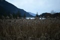 Weathered field on the background of the silhouette of hills at the lake