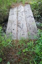 Weathered Foot Bridge