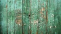 A weathered green door with peeling paint Royalty Free Stock Photo