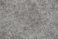 Weathered concrete slab with exposed construcrion aggregate Royalty Free Stock Photo