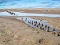 Weathered groyne pillars low loudy sky Royalty Free Stock Photo