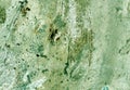 Weathered grungy green cement wall texture. Royalty Free Stock Photo