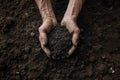 Weathered hands cradle a handful of fertile soil, symbolizing toil and growth. Royalty Free Stock Photo