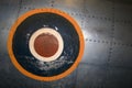 Weathered insignia on plane