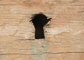 Weathered keyhole Royalty Free Stock Photo