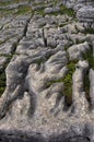 Weathered Limestone at Malham Royalty Free Stock Photo