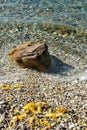 Weathered limestone on the Mediterranean coast