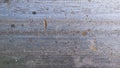 Metal texture with spots of rust. background. Royalty Free Stock Photo
