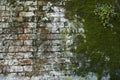 Weathered mossy red and white brick wall with flowers Royalty Free Stock Photo