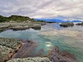 Weathered mudstone formations and seaweeds on the pacific ocean shore in New Zealand