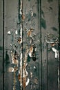 Weathered old door Royalty Free Stock Photo