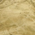 Weathered Old Pale Green Trap Fabric Background