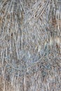 Weathered palm fronds on a palapa on a beach in Baja