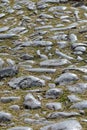 Weathered Pebble Path to Rosafa Fortress, Skadar