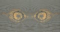 Weathered Pine Knots Which Look Like Eyes Royalty Free Stock Photo
