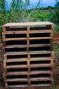 Weathered pine wood pallets stacked in the field