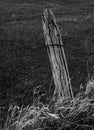 Weathered prairie fence post