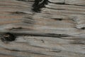 Weathered railroad tie, close up