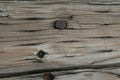 Weathered railroad tie, close up