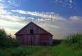 Weathered Red Barn in a Cornfield Royalty Free Stock Photo