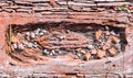 Weathered red brick texture.