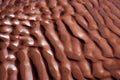 Weathered red sandstone on shore, Fleswick Bay Royalty Free Stock Photo