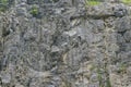 Weathered rock face texture in old stone pit with parts of green. Aged stone wall surface background pattern Royalty Free Stock Photo