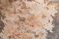 Weathered Rock Surface Close-Up Showing Organic Mineral Patterns Royalty Free Stock Photo