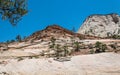 Weathered rocks in the Zion National Park, Utah, USA Royalty Free Stock Photo