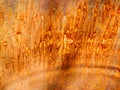 Weathered rusted iron texture. corroded colorful rusty metal background Royalty Free Stock Photo