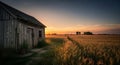 Rustic Old Shed in Golden Wheat Field at Sunset Tranquil Countryside Royalty Free Stock Photo