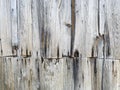 Weathered wooden background with damaged grey planks