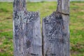 Weathered, Rustic Wooden Gate in a Grassy Field at Rockaway Beach, Pacifica, California Royalty Free Stock Photo