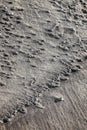 Weathered sand surface Royalty Free Stock Photo