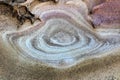 Weathered Sandstone Ku-ring-gai Chase National Park Royalty Free Stock Photo