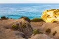 Weathered sandstone path to cliff edge with western wallflower