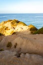 Weathered sandstone path to cliff edge with western wallflower