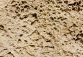 Weathered sandstone surface. Seacoast. Crimea, Sevastopol.