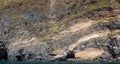 Weathered seaside rock face texture with parts of green and blue water. Aged volcanic stone wall surface background pattern Royalty Free Stock Photo