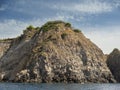 Weathered seaside rock face texture with parts of green and blue water. Aged volcanic stone wall surface Royalty Free Stock Photo