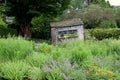 Slanting shed in garden filled with flowering plants and healthy shrubs