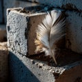 A weathered stack of concrete bricks supports a prominent white feather, angled shot with natural lighting from the Royalty Free Stock Photo