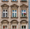 Weathered and stained house facade with rows of windows and one vibrant bunch of flowers on a window sill in Wroclaw, full-frame