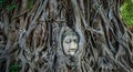 Ancient Buddha Head Sculpture Encased in Tree Roots in Thailand statue Royalty Free Stock Photo